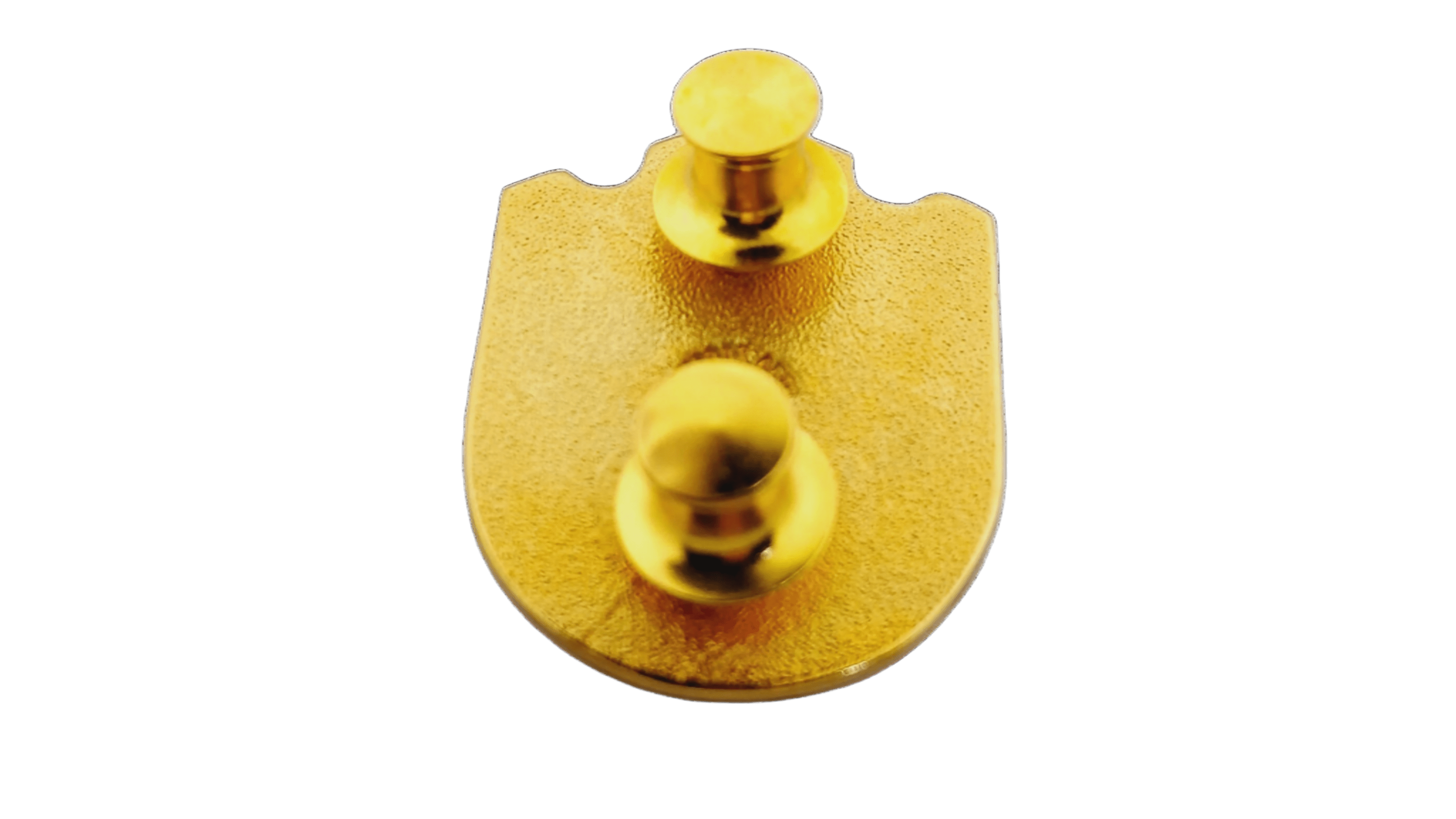 Vital Installation Security Course Pin