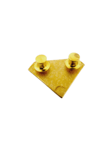 Comptroller Pin