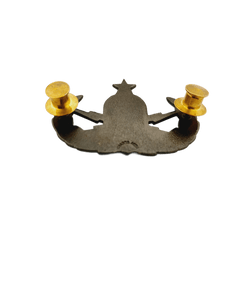 Senior EOD Bombsquad Pin Gold