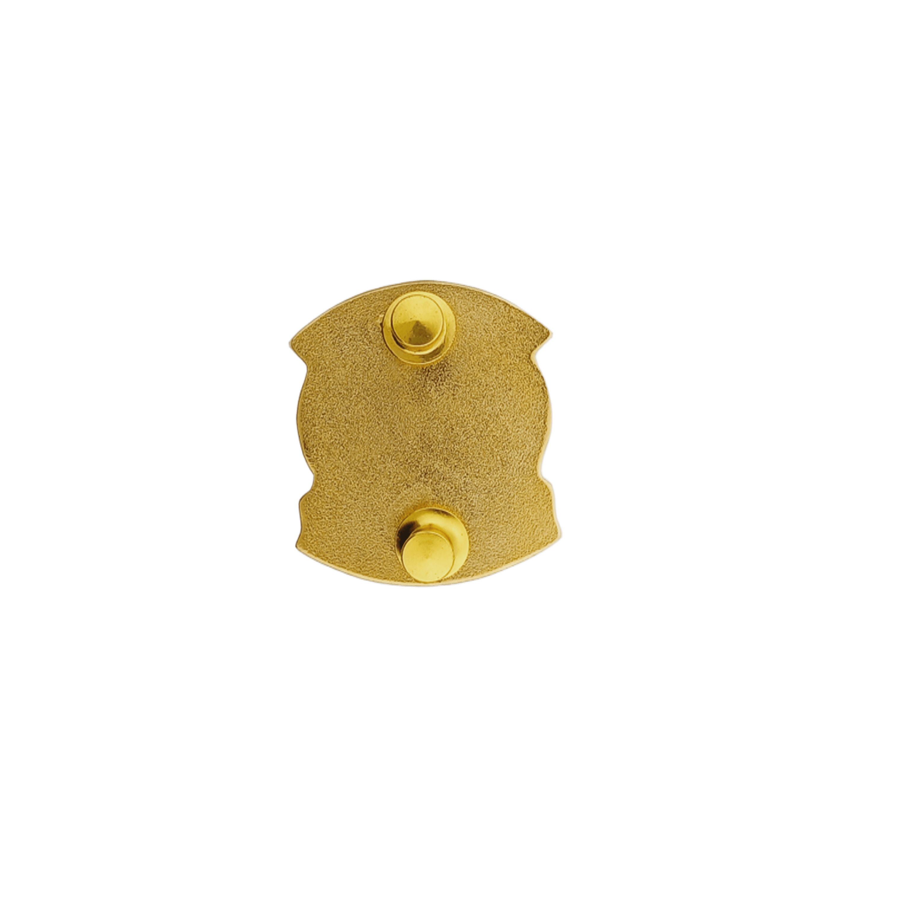 Criminal Investigation Course (CIC) Pin