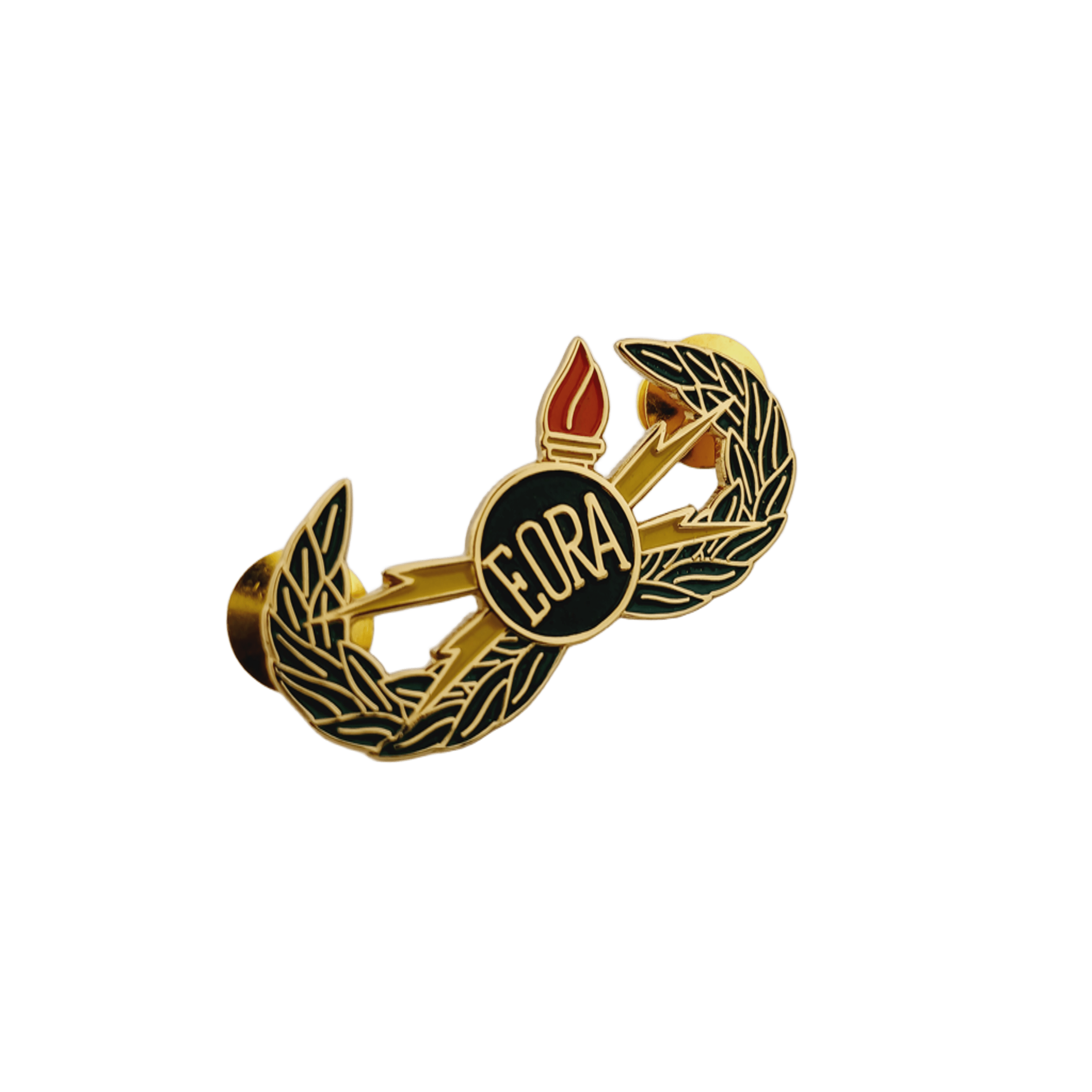 Explosive Ordnance Reconnaissance (EORA) Gold Pin