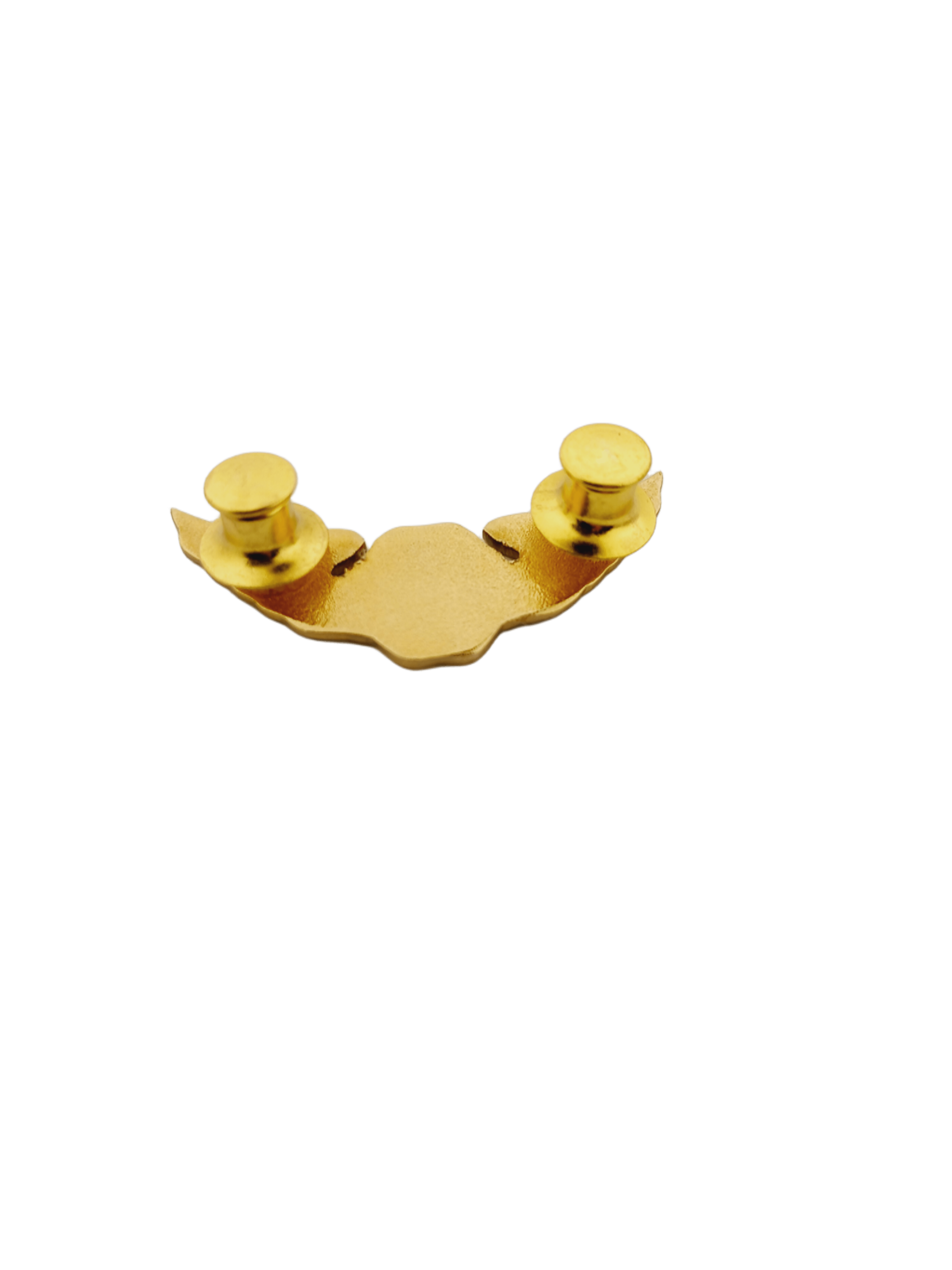 Water Search and Rescue (WASAR) Pin