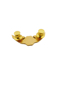 Water Search and Rescue (WASAR) Pin