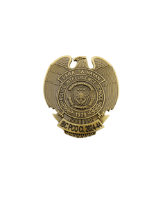 Intelligence Basic Course (IBC) Pin - PNP