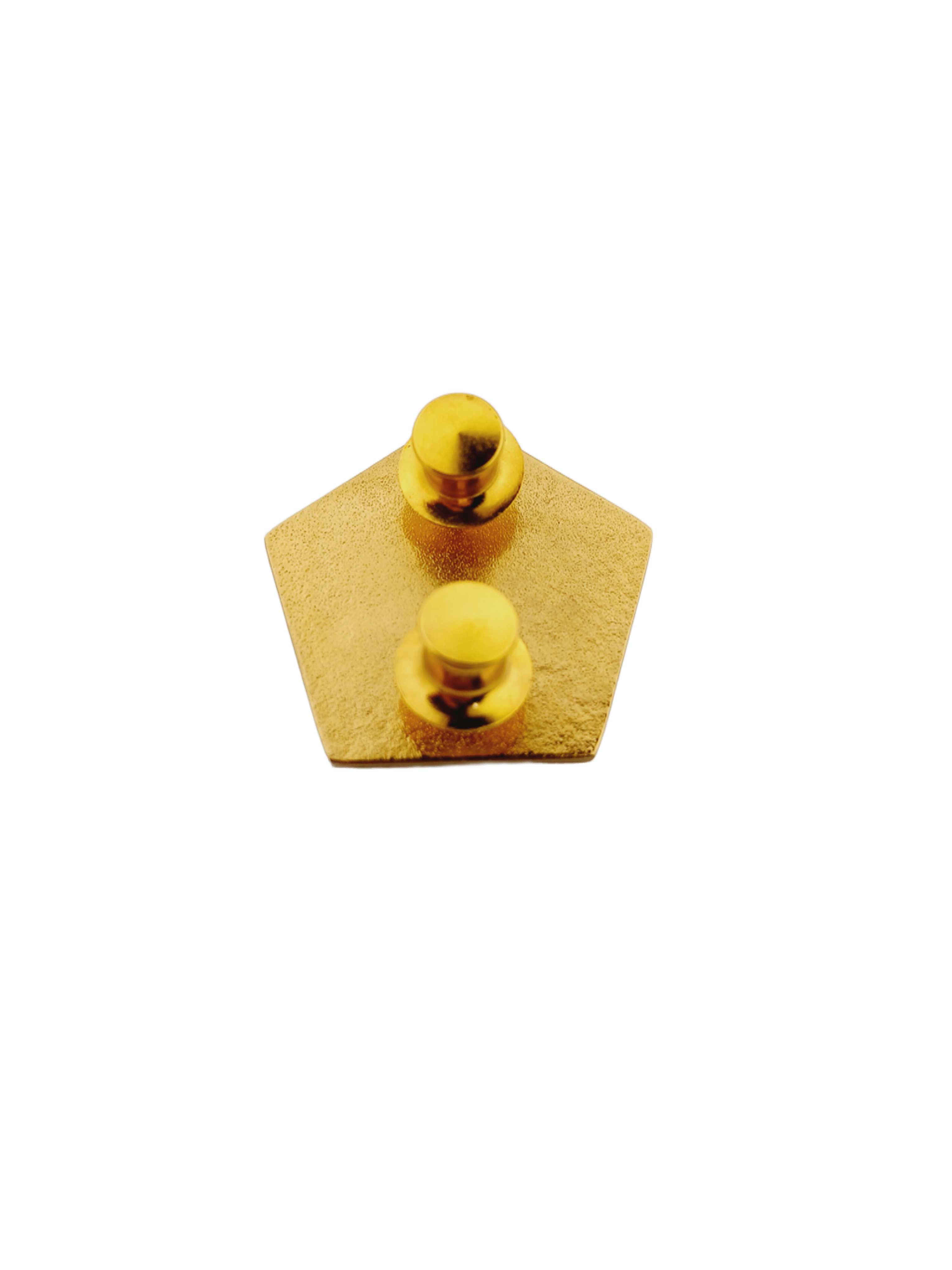 Human Resource Management Officers Course (HRMOC) Pin