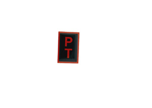 Physical Training Pin 2025