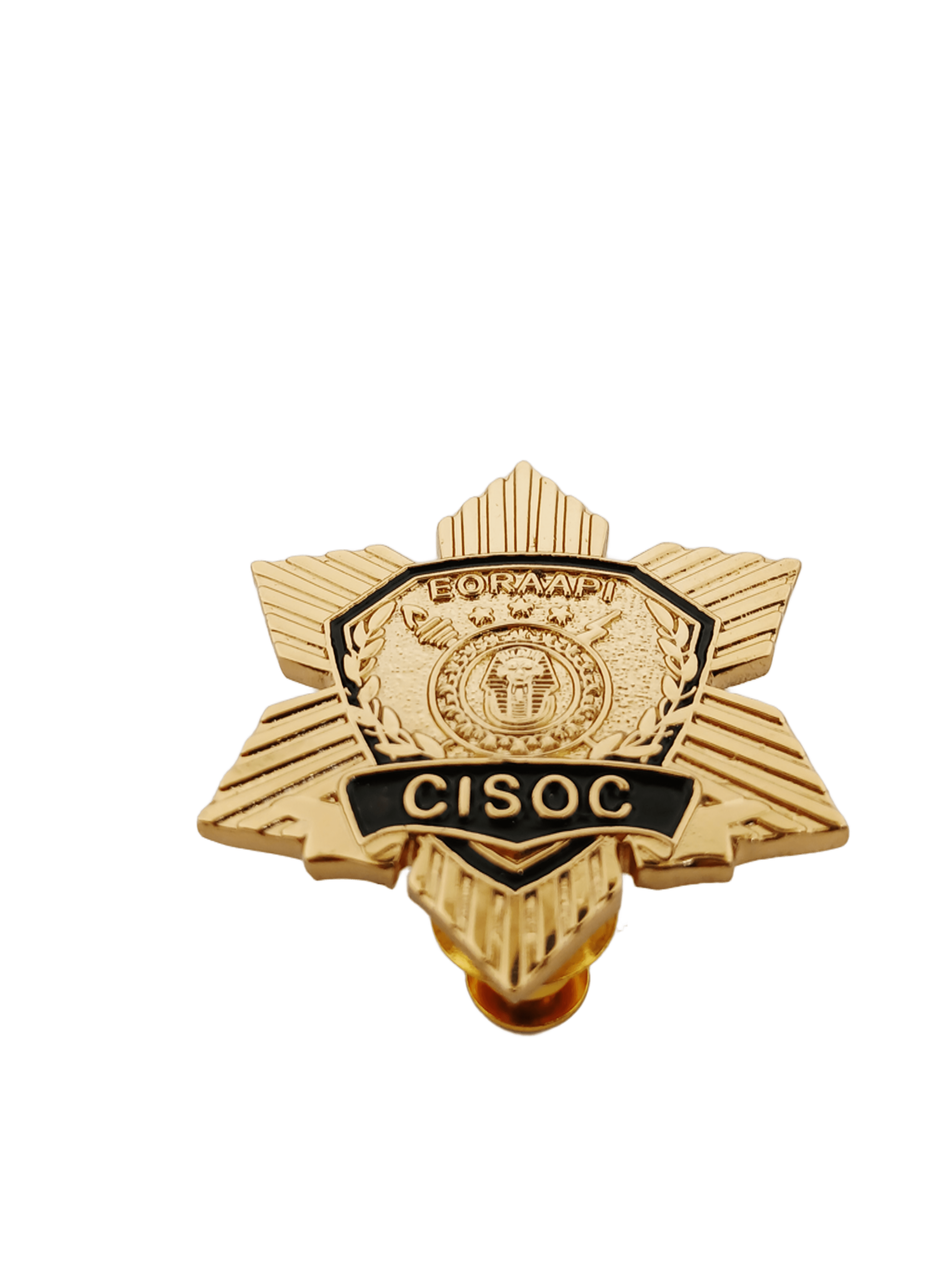 Counter Intelligence and Special Operations Course (CISOC) Pin 2025