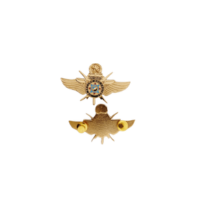 VIP Master Pin
