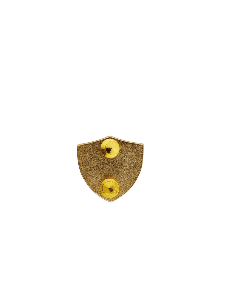 PCG - Information System Technician Pin – philippinepublicsafetysupply