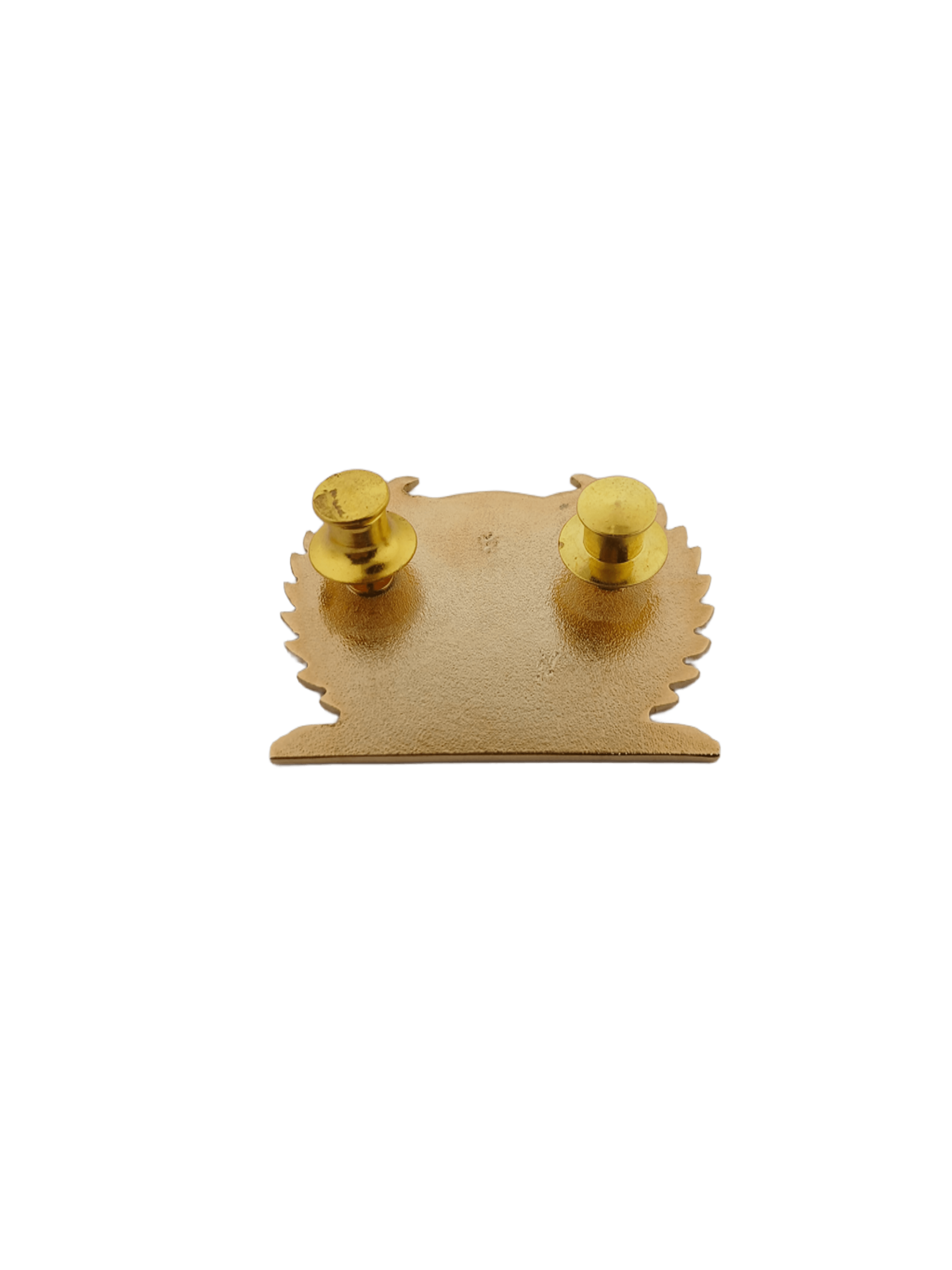 Police Engineering Management Course (PEMC) Pin
