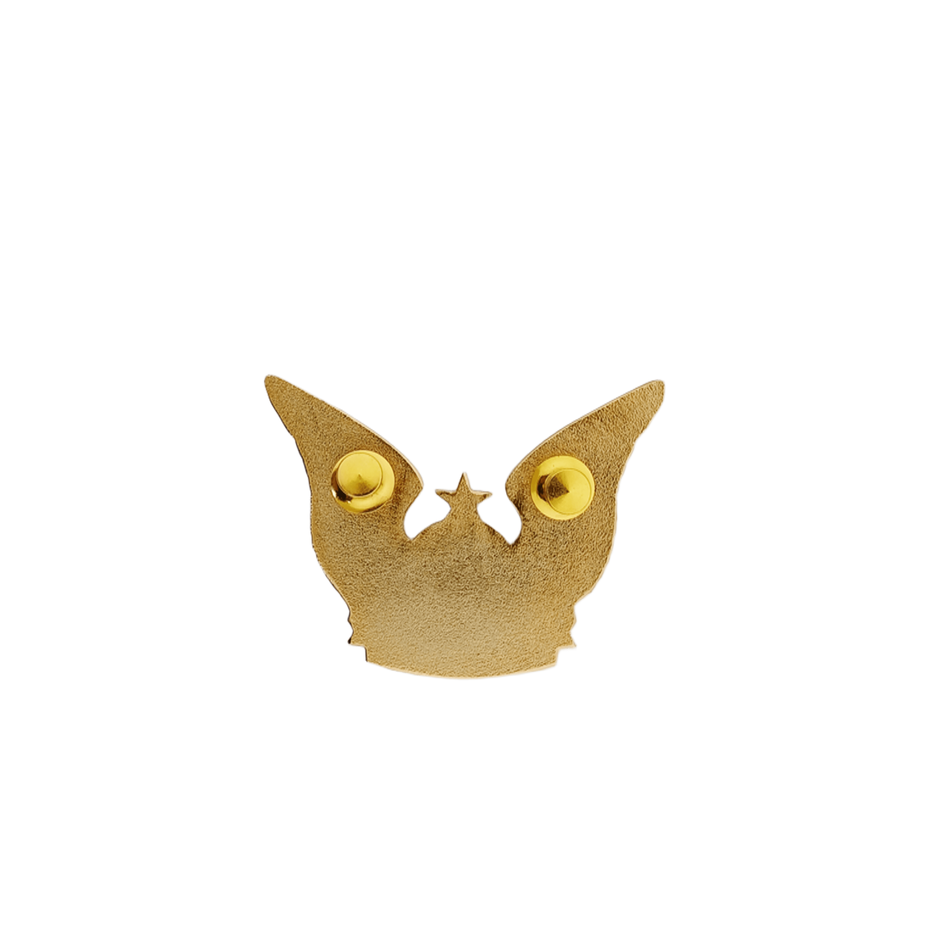Senior Master Rider Pin