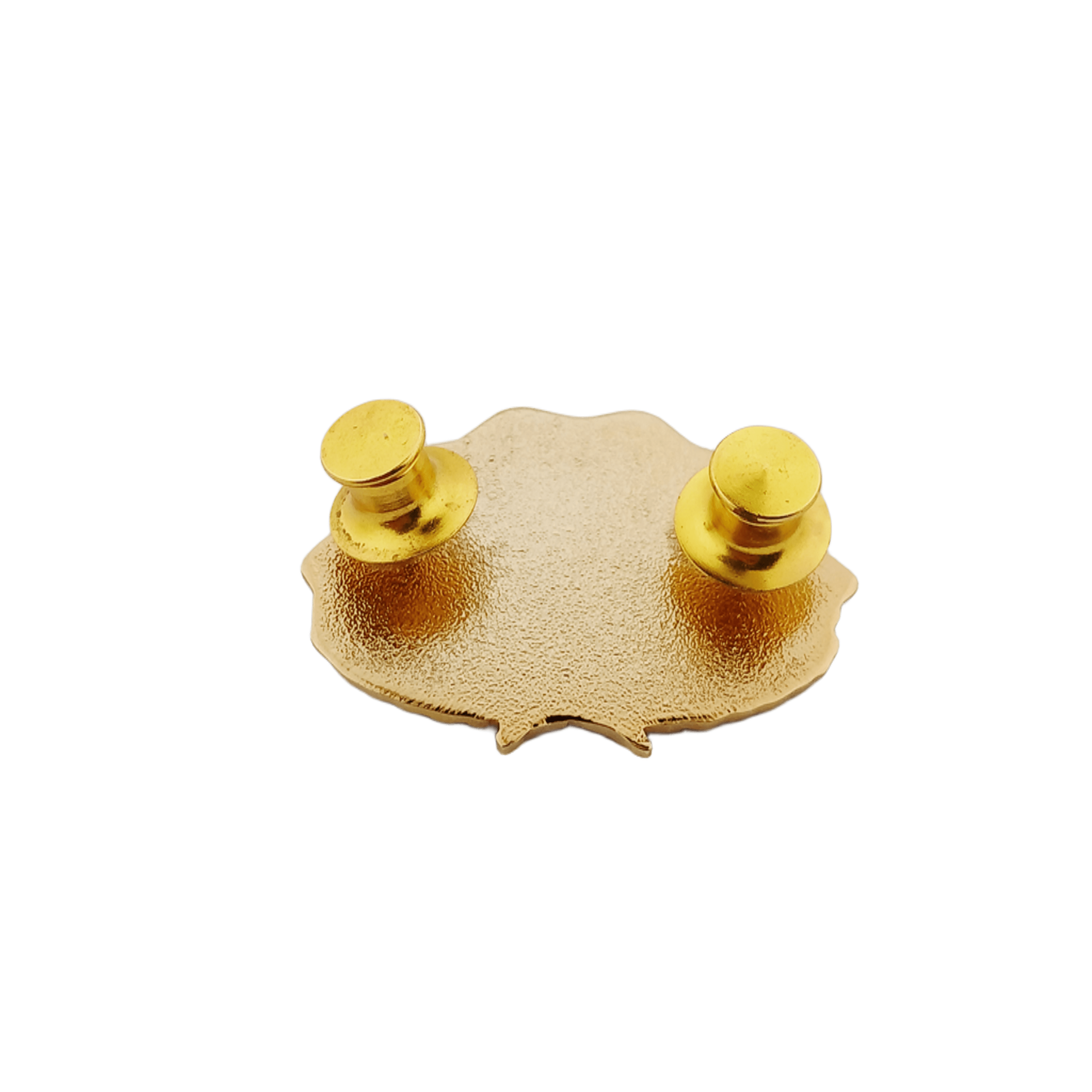 Finance Course Pin
