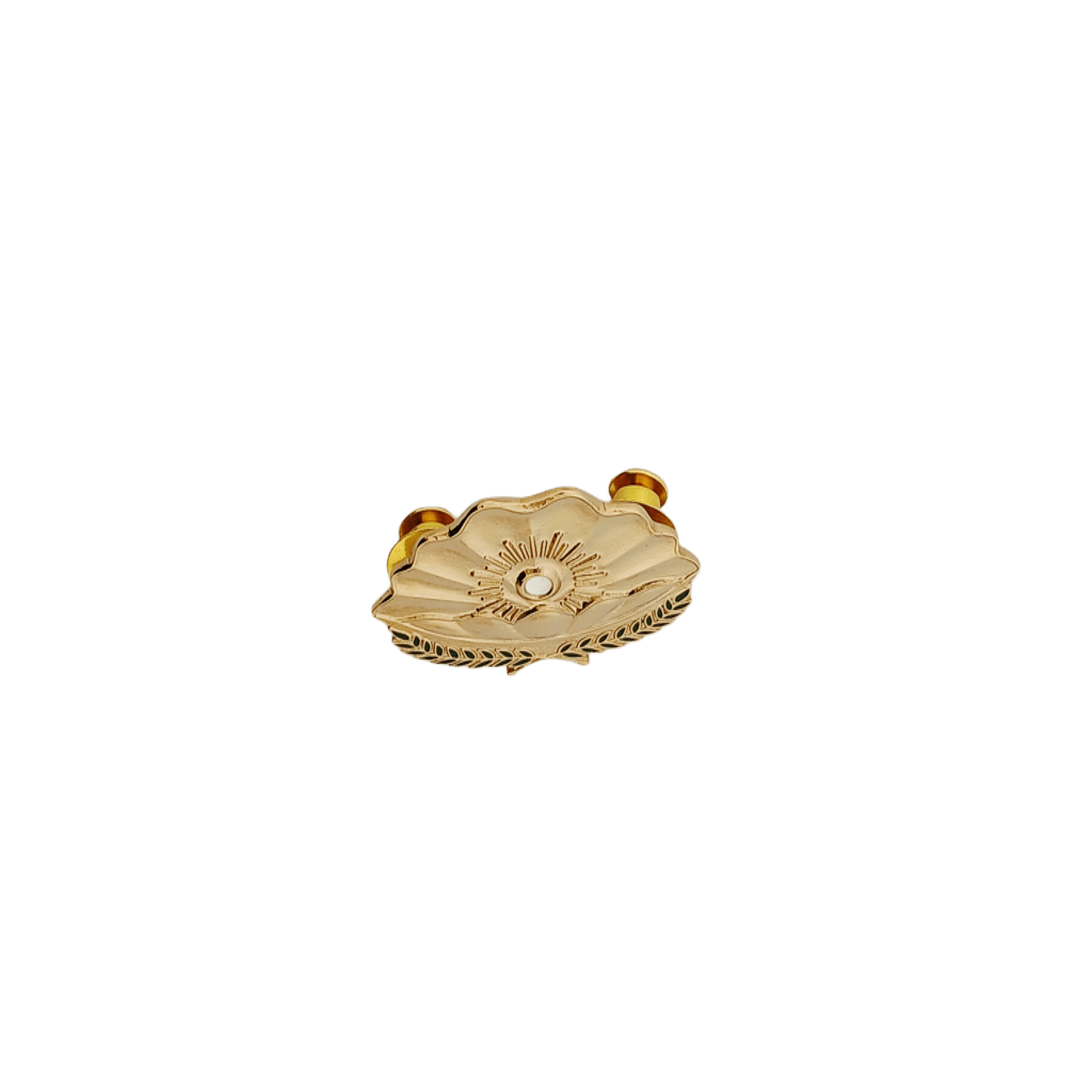 Finance Course Pin