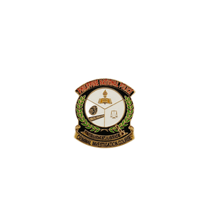Criminal Investigation Course (CIC) Pin