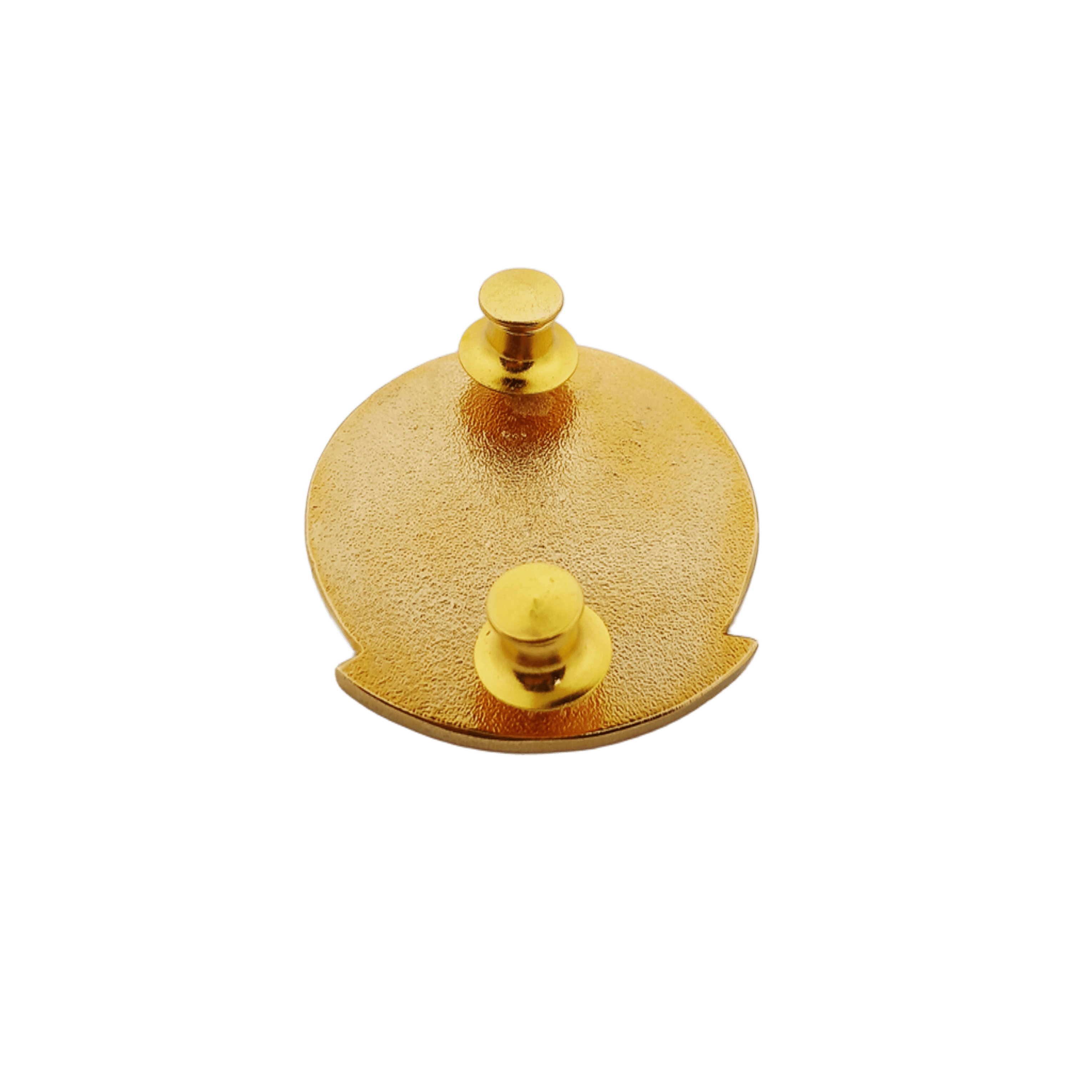 Training Management Staff Course (TMSC) Pin