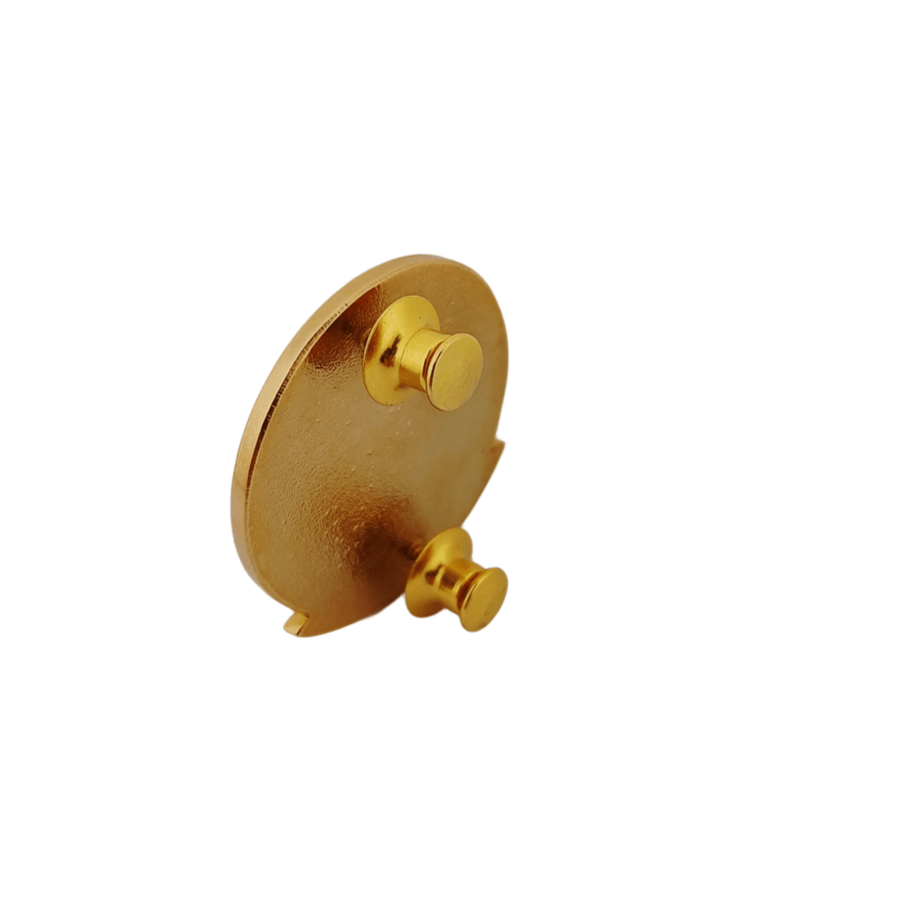 Training Management Staff Course (TMSC) Pin