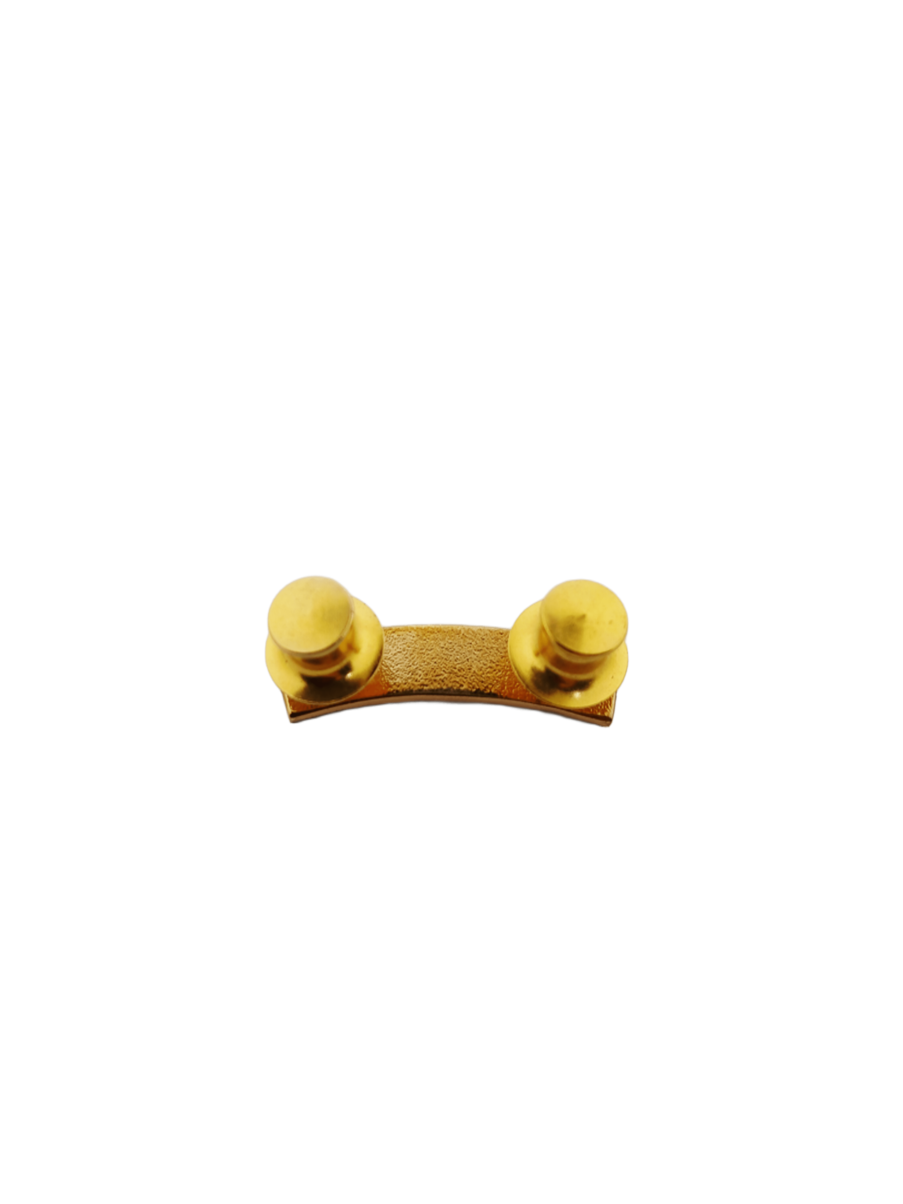Tagasangga Tab Pin