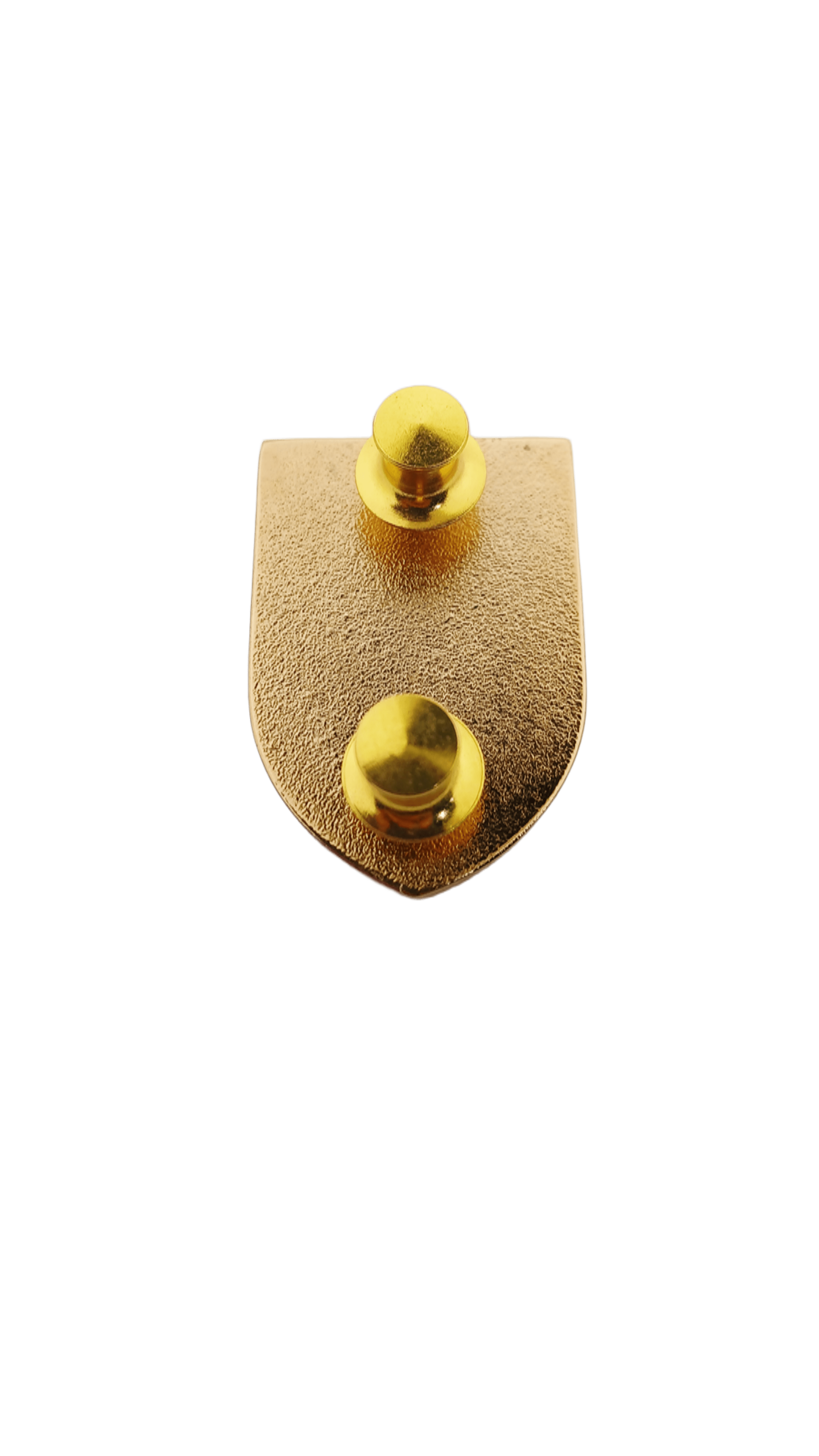 Basic Logistics Course (BLC) Pin  - PNCO