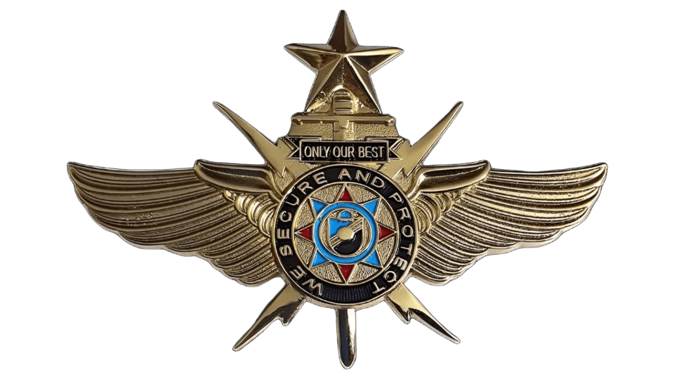 VIP Senior Pin