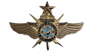 VIP Senior Pin