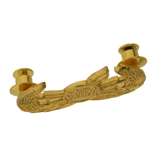 Explosive Ordnance Reconnaissance (EORA) Gold Pin