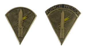 Force Recon Pin - PNP
