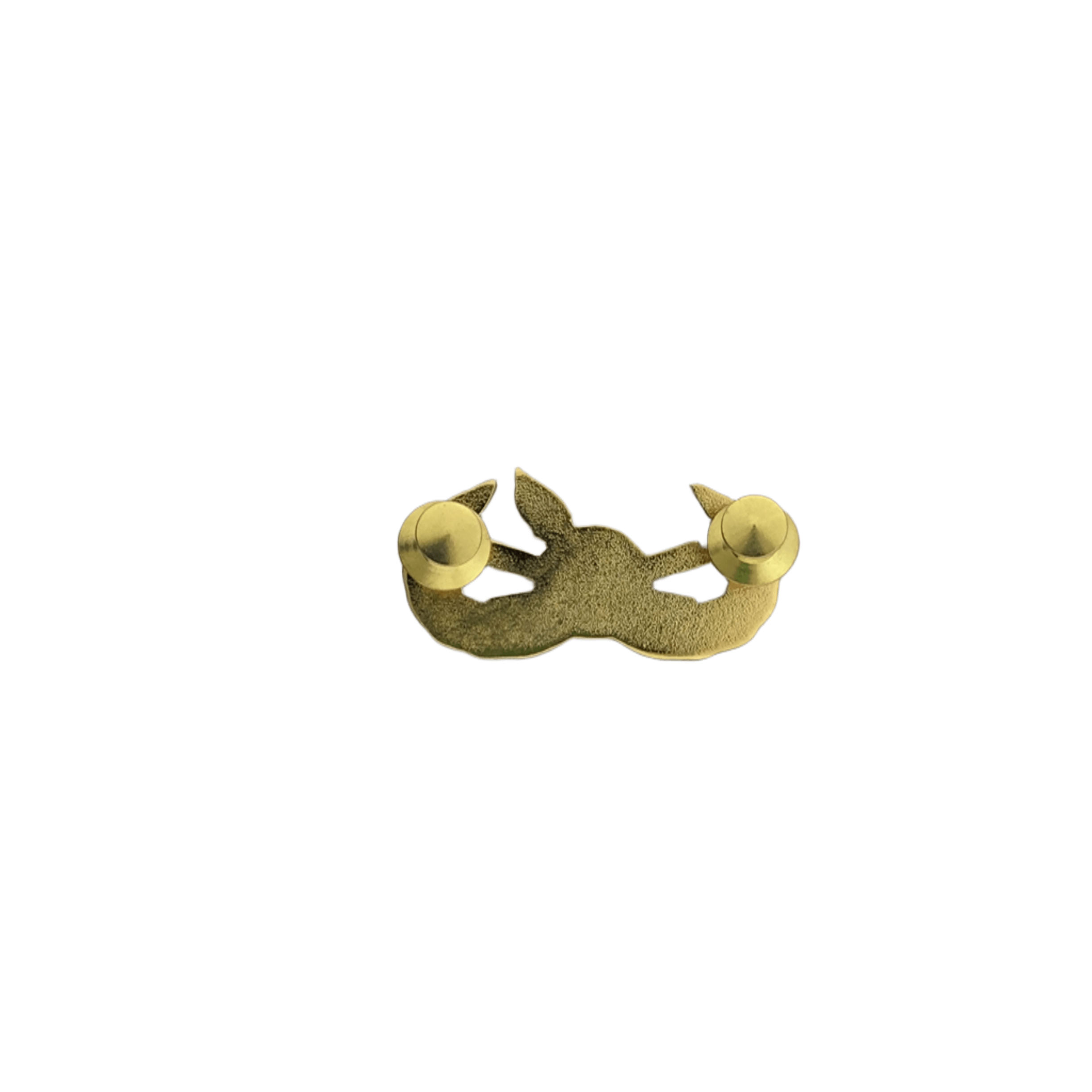 Explosive Ordnance Reconnaissance (EORA) Gold Pin