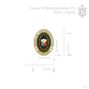 House of Representative Pin