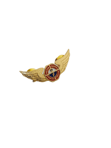 Water Search and Rescue (WASAR) Pin