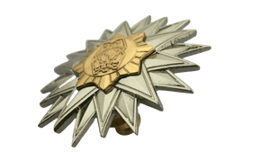 Office Senior Executive Course (OSEC) Pin - PNP