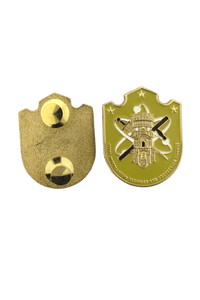 Vital Installation Security And Protection Course Pin