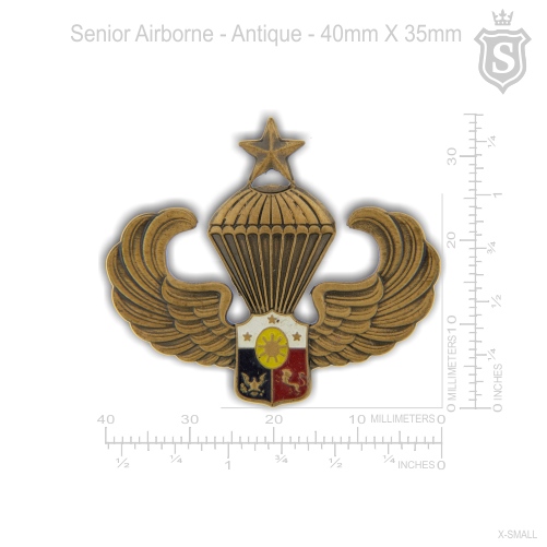Senior Airborne Pin - PNP